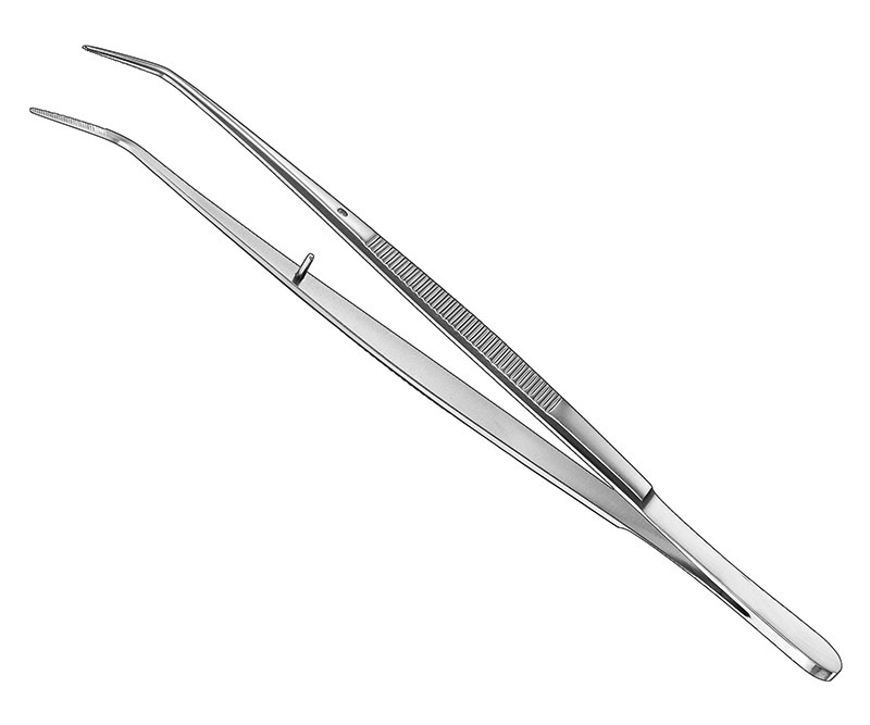 Cotton Forceps