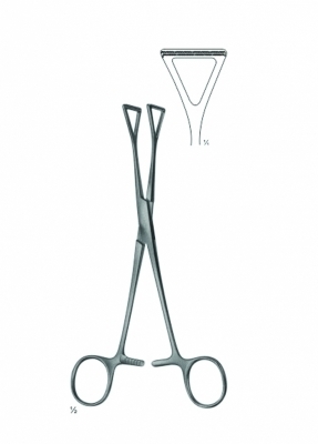 Collin Organ & Tissue Grasping Forceps