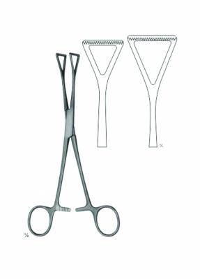 Duval Collin Tissue & Organ Holding Forceps