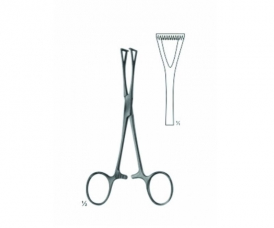 Collin Forcep straight