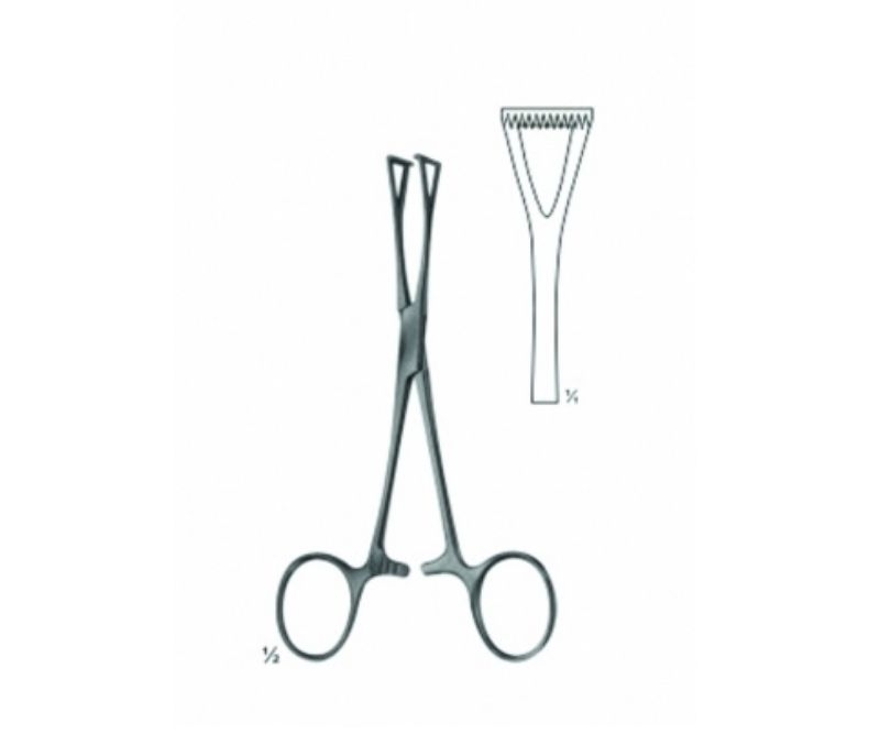 Collin Forcep straight