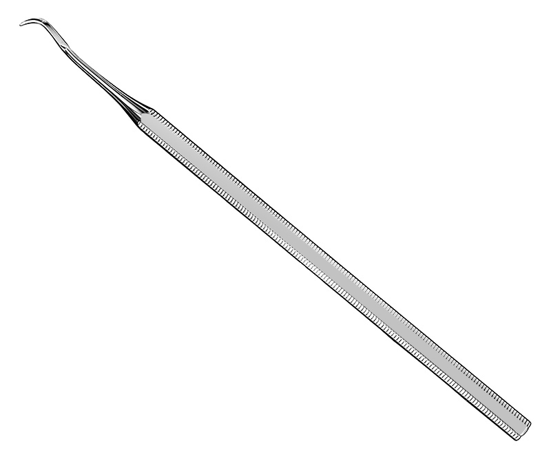 Provisional prosthesis