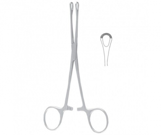 William Organ & Tissue Grasping Forceps