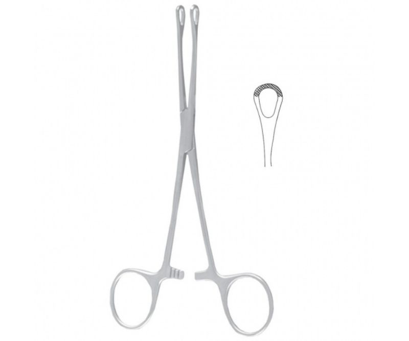William Organ & Tissue Grasping Forceps