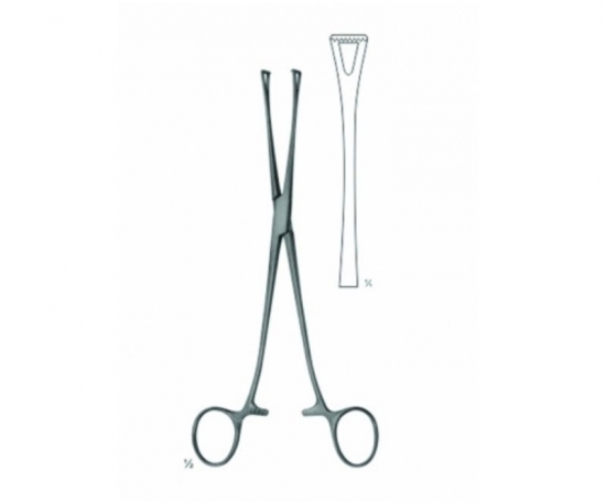 Lockwood-Allis Tissue Forceps