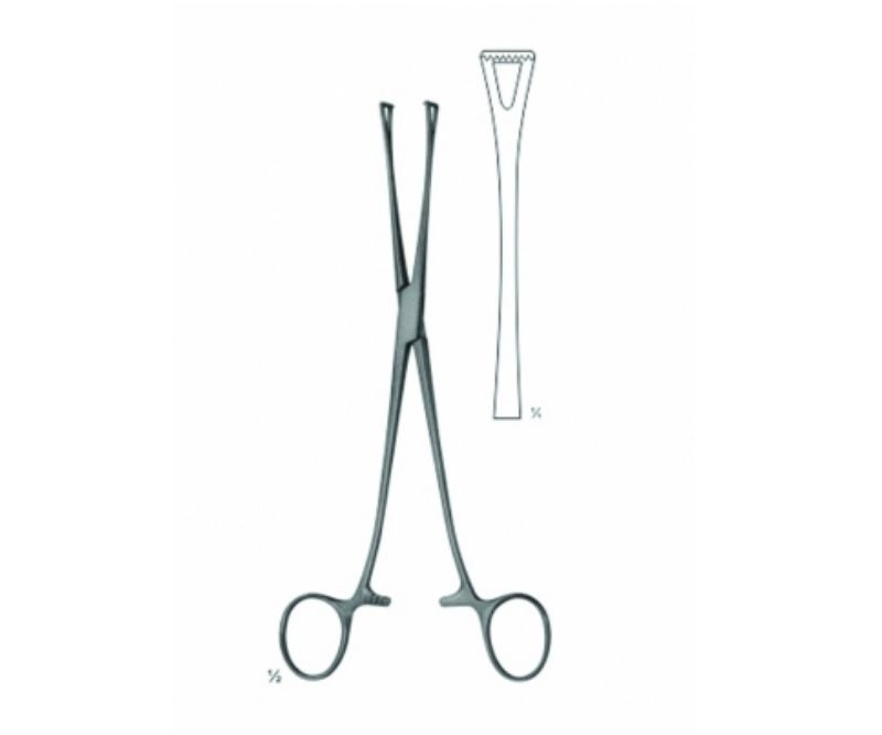 Lockwood-Allis Tissue Forceps