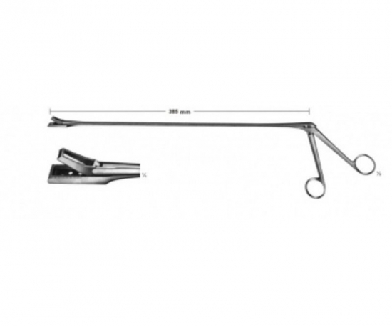 Biopsy forceps for rectum